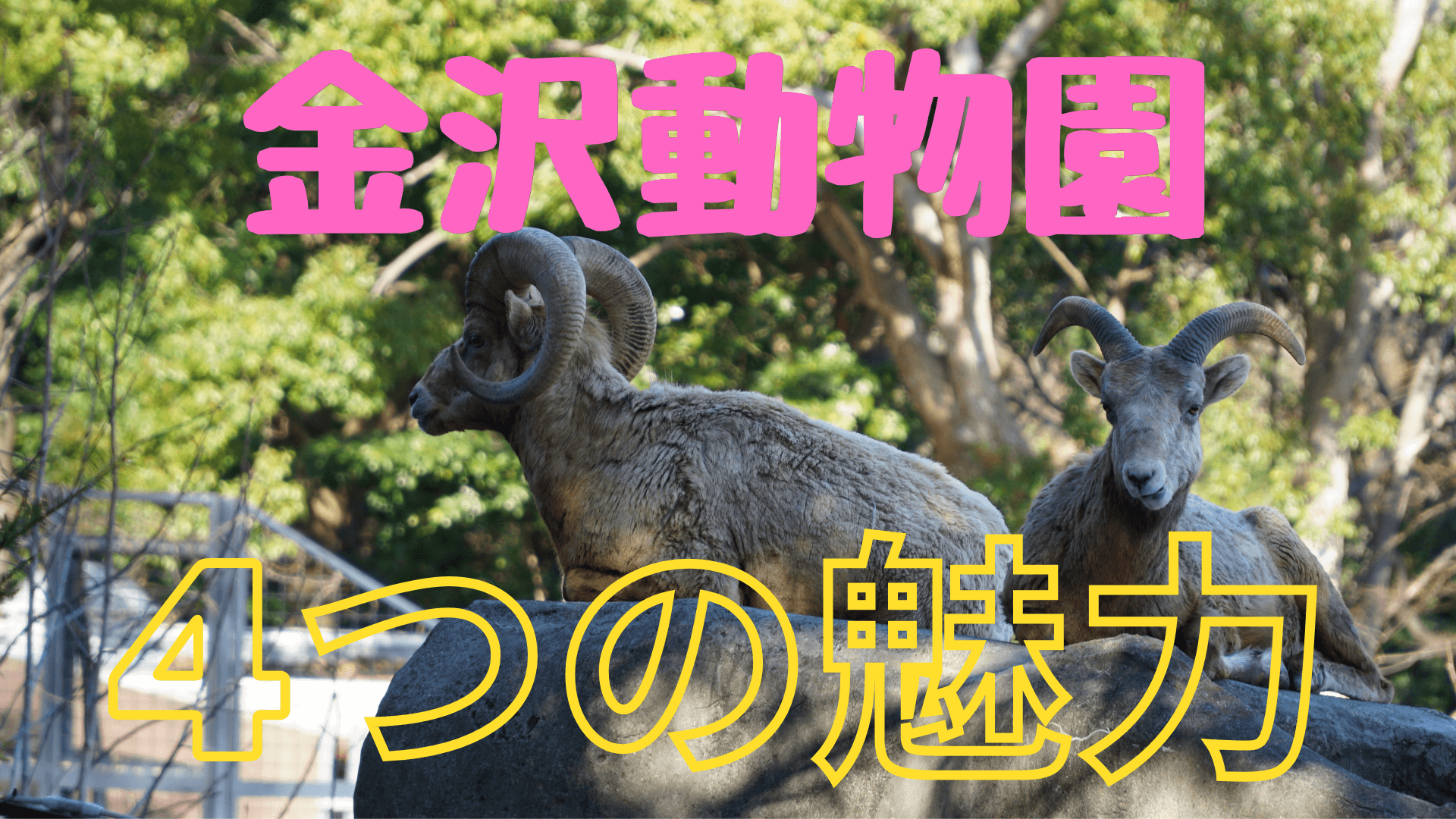 金沢動物園4つの魅力